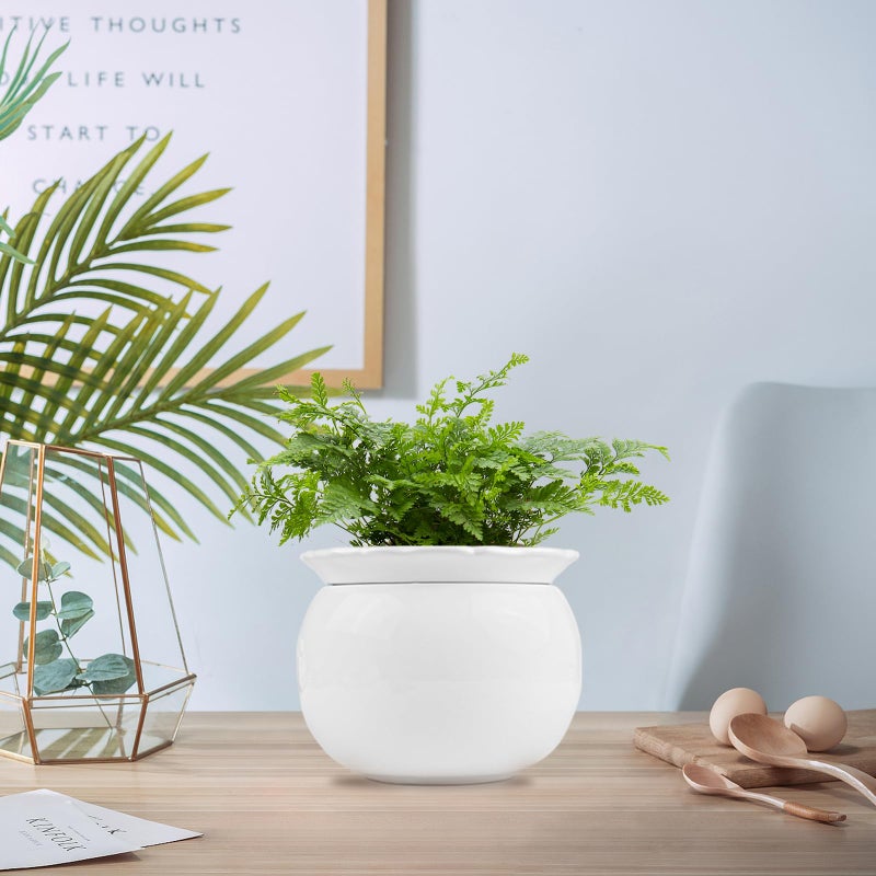 BUYMAX African Violet Pots  6 inch Ceramic Easy Self Watering Plant Pot for Busy Plant Lovers  Automatically Absorb Appropriate Amount of Water  Flower Pot Indoor-Plants Not Included - Image 3